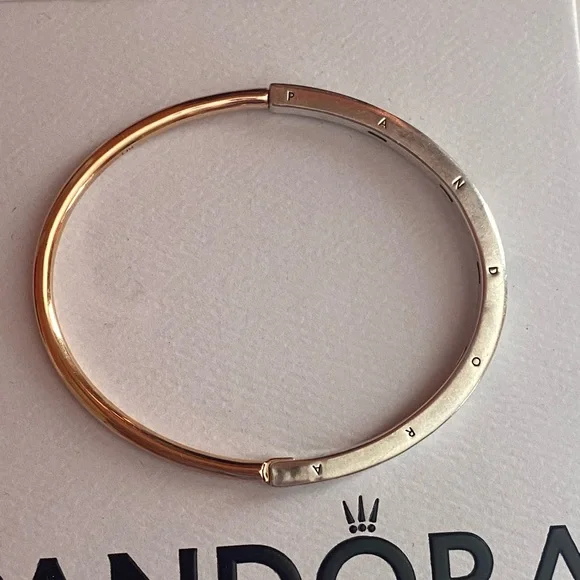 Pandora Rose Gold and Sterling Silver Bangle - Picture 3 of 7